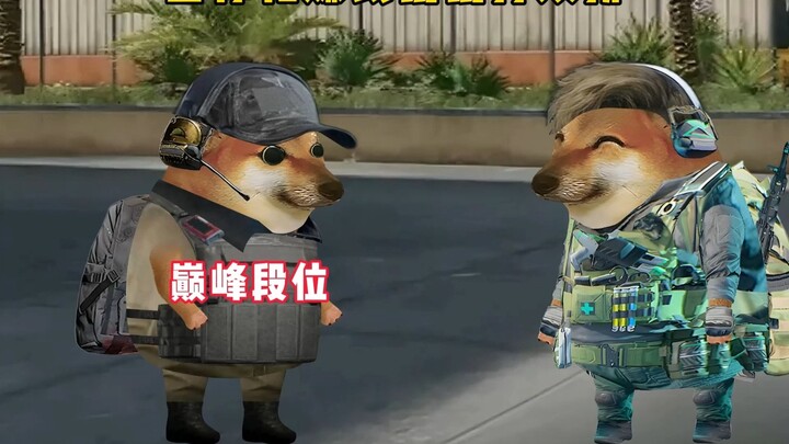 当你和致富鼠鼠打双排。