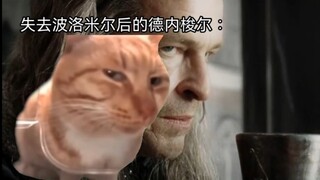 Lord of the Rings but cat meme