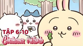 Chiikawa vietsub tập 6-10
