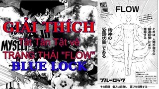 Giải Thích Trạng Thái "DÒNG CHẢY" FLOW Trong Blue Lock|GSANIME.