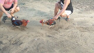 nov 03 2023 part 2