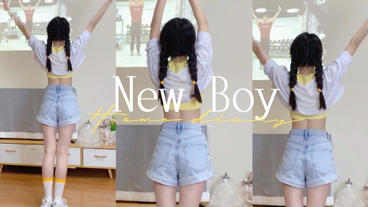 "New Boy" Con mèo của chủ nhà | Dễ thương và đáng yêu