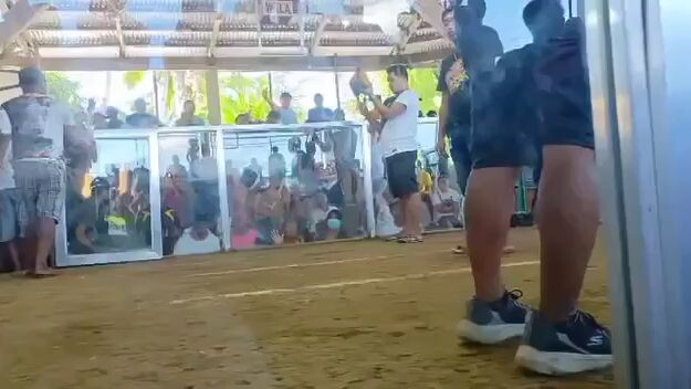 superSweater 3times winner