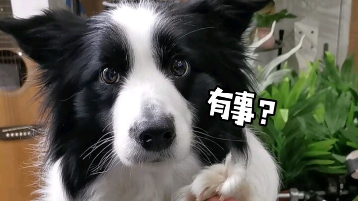 The difference between when I have snacks and when I don’t…