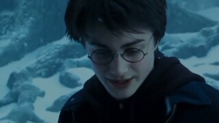 【HP Girl】When they chase their wives again