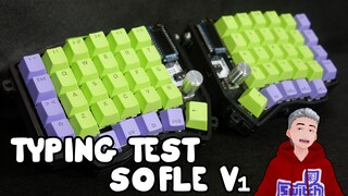 Sofle v1 Gateron Red Switch || Typing Test || Viktor Doji Vtuber