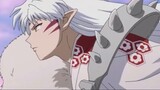 Kagome: Sesshomaru, I just called out 'brother', you TM...