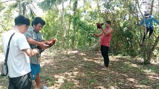 Tagpuan (Win) Pula