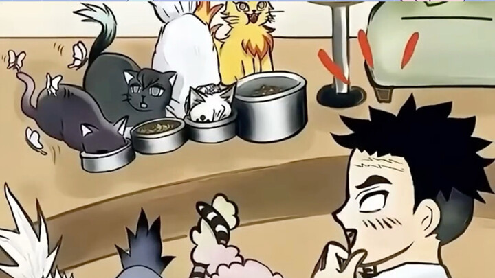 Mr. Xingming, I’m begging you—let me take a kitty home!