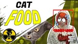 CAT FOOD | Grand Theft Auto V | TAGALOG
