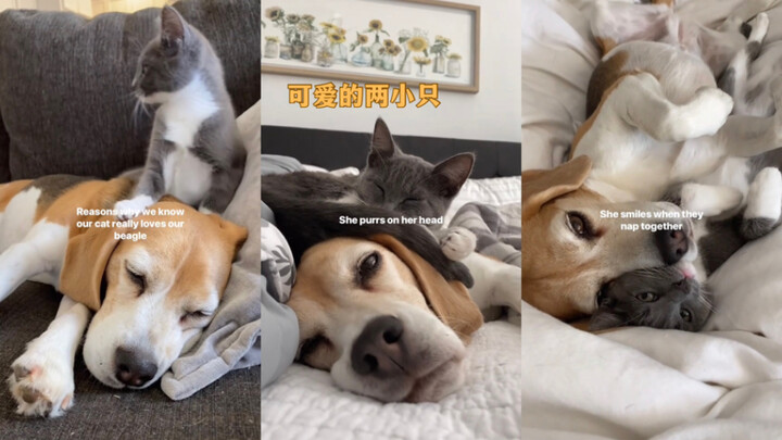 Dua si kecil menggemaskan 🥰