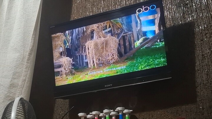 PBO - Continuity [01-09-2026]