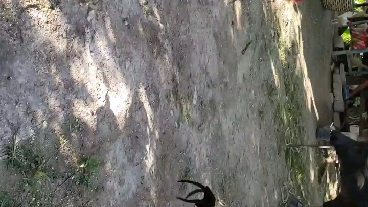 Pula VS.Talisayun(weekly sparring)