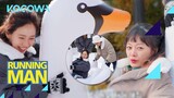 No one wants to listen to the PD when there are swans around l Running Man Ep 638 [ENG SUB]