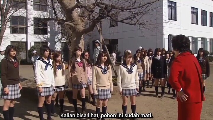 Episode 20 Sakura Kara no Tegami Sub Indo (2011)