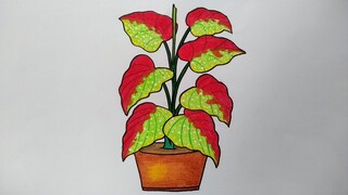 Menggambar bunga keladi || Cara menggambar bunga yang mudah || Belajar menggambar bunga