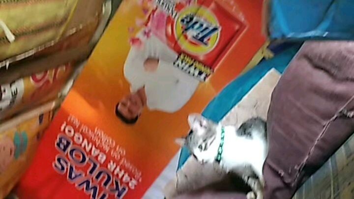 Rertas certas & the only one that 🤣🤣🤣🤣