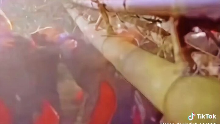 Đỉnh kout