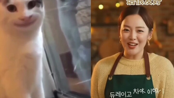 The reaction of Cantonese people after watching: