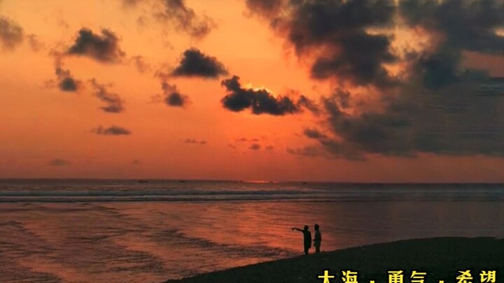 拥有跟随内心与直觉的勇气，看大海的光怪陆离，热情永不褪色！