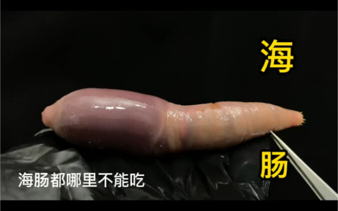 ไส้หอยกินตรงไหนไม่ได้บ้าง?