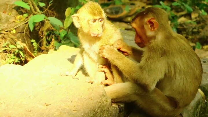 Best two Friend playing so lovely