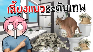 เลี้ยงแมวระดับเทพเจ้า | Roblox Raise A Floppa