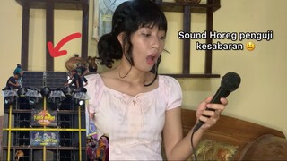 GAGAL NGONTEN! GARA-GARA SOUND HOREG! 😭