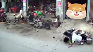 好家伙 生意送到门口来了