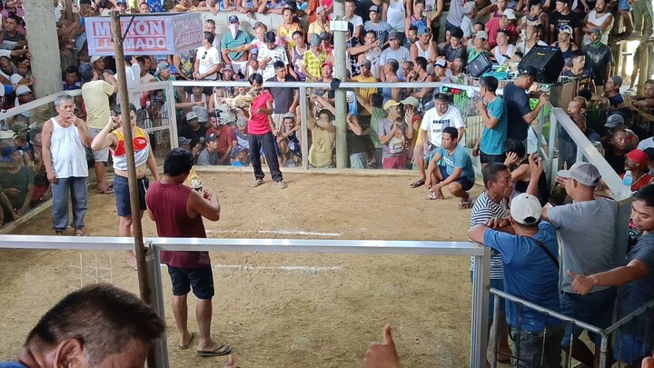 1st fight tabla lang 🐔