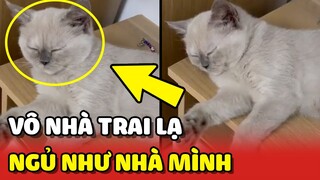 DẪN "GÁI" về cho 2 con trai "XẢ STRESS" và cái kết NHỤC NHÃ cho chủ nhà 😂 | Yêu Lu