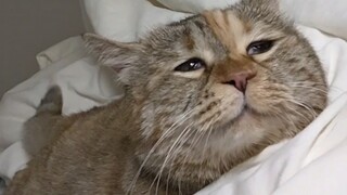 سأأخذ قيلولة، من فضلك أطفئ الكاميرا