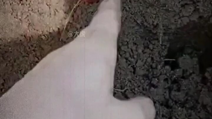 The Four Biggest Scare Fails