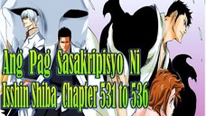 Bleach 531 536 Ang Pagkawala ng Shinigami Power ni Isshin Shiba.