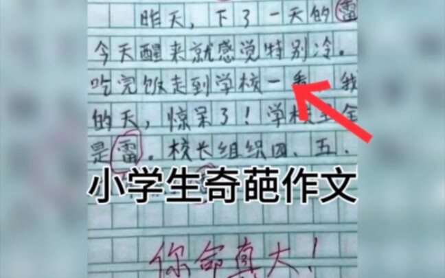 小学生奇葩作文