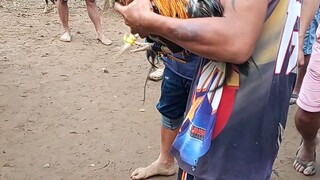 tumakbo pa
