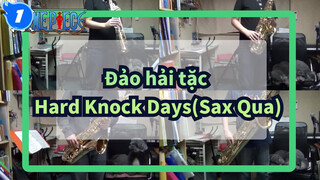 Đảo hải tặc | Hard Knock Days - Sax Qua_1