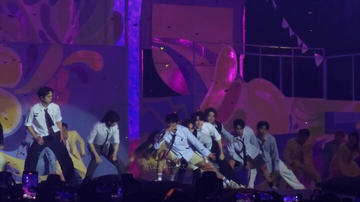 Semua orang melihat anak anjing, anak anjing melihat suasana hati (melihat anak anjing beraksi sungg