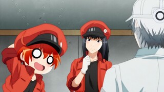 [ Cells at Work! II] The result of eating cilantro is that the red blood cells in the body start to 