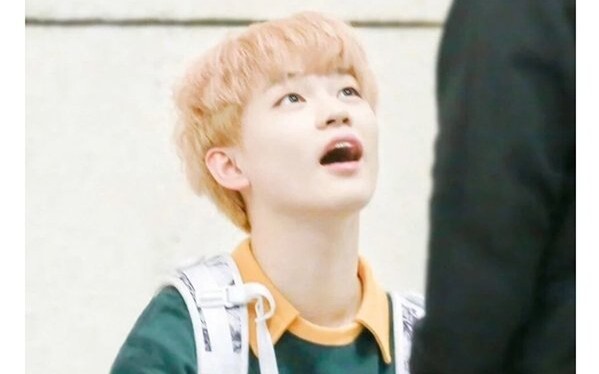 【NCT】【Chenle】Little Cuddly Bundle! Watching Chenle once a day instantly heals my heart! I just want 