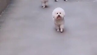 手机看久了，我是不是眼睛看东西重影儿了