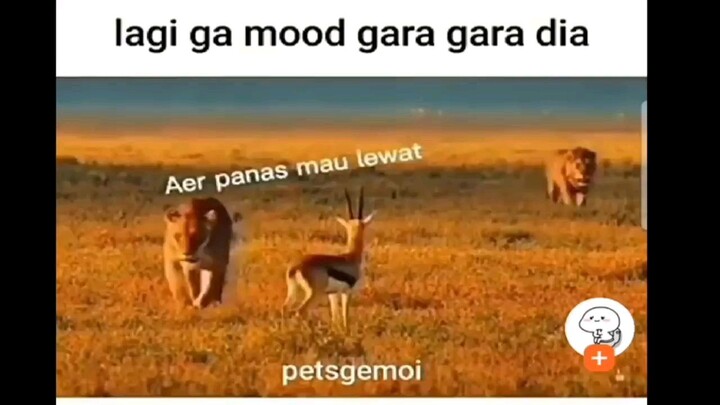 lgi g mood bray 😏