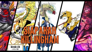 SIAPA ITU KILLINGHAM | ONE PIECE