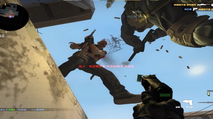 Thân cân   Tảm kiến   Bộ diệp