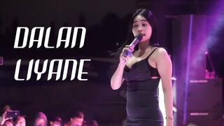 ANGGUN CANTIKA - DALAN LIYANE [ COVER ] [ NEW SEKER ]