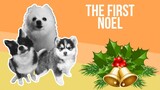 The First Noel but it's Doggos and Gabe