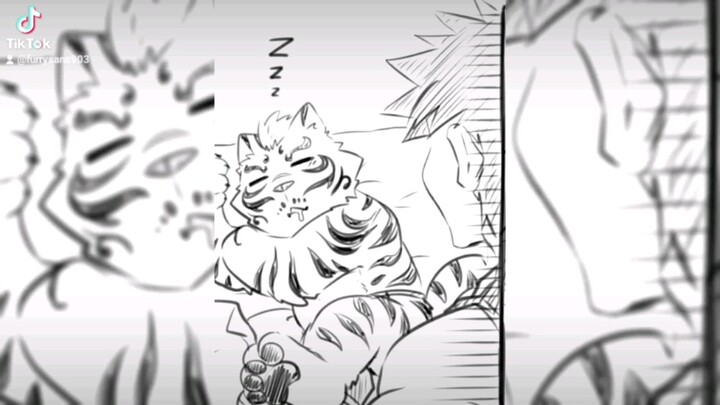 บ้านนี้แมวใหญ่