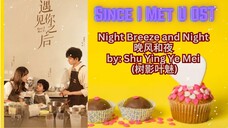 Night Breeze and Night 晚风和夜 by_ Shu Ying Ye Mei (树影叶魅) - Since I Meet U OST