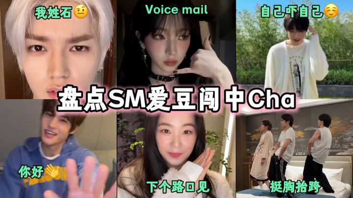 Behind every SM hit, there must be a genius behind it. Check out those amazing Chinese characters! |