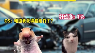 When you can see everyone's好感度